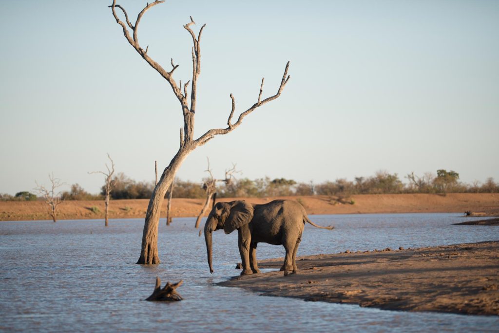 Best time to Visit Tanzania