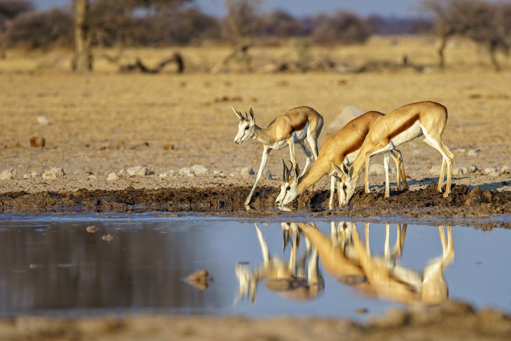 Tanzania Weather Complete Guide for Travelers