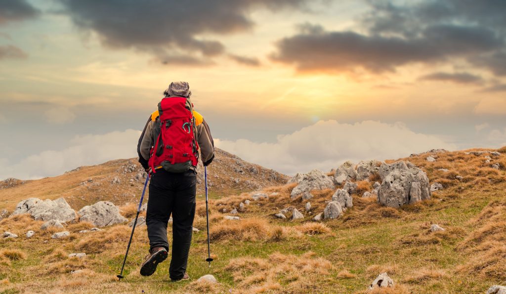 Best Training Guide on Kilimanjaro Trekking