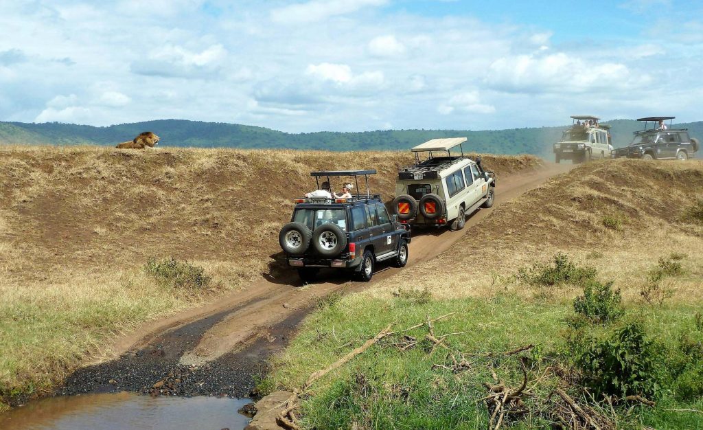 Tanzania Travel Tips: A Complete Guide for First Time Travelers